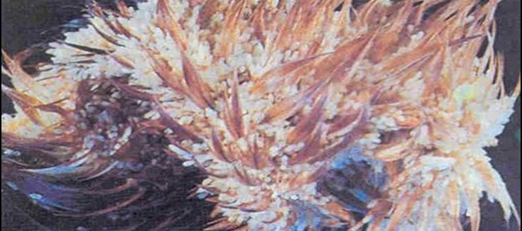 Kanatlı Hayvanlarda Görülen Paraziter Ve Tedavileri