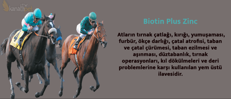 www.kanatlipet.com - Biotin Plus Zinc Nedir
